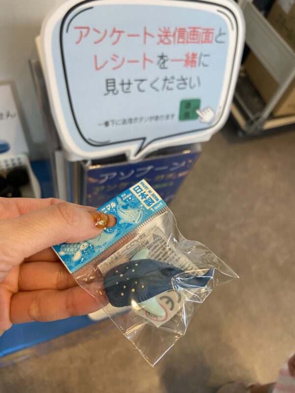 ガチャから出てくるのは消しゴム