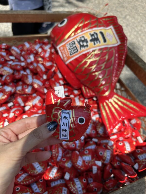 川越氷川神社　鯛みくじ
